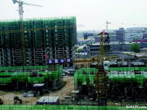 蓄勢(shì)發(fā)力 引領(lǐng)高品質(zhì)生態(tài)社區(qū)潮流 綏中縣金屋房地產(chǎn)開(kāi)發(fā)訪談錄