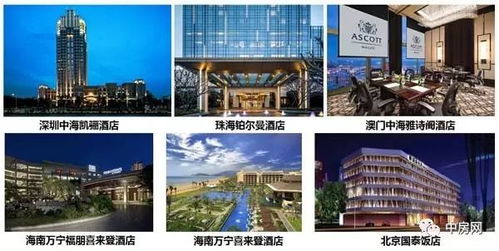 中海商業(yè)榮膺2017中國房地產(chǎn)開發(fā)企業(yè)品牌價值商業(yè)10強第三名